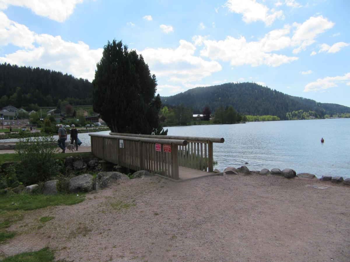 Appartement Les Balcons De La Chalande Le Tholy Gerardmer, Jardin,Balcon, Terrasse, Eksteriør bilde