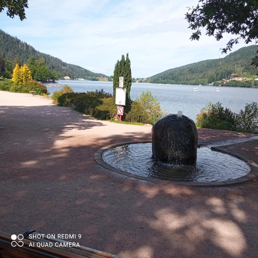 Appartement Les Balcons De La Chalande Le Tholy Gerardmer, Jardin,Balcon, Terrasse, Eksteriør bilde